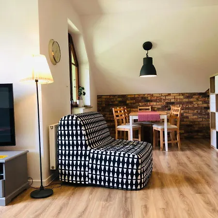 Studio 公寓 波兰尼卡-兹德鲁伊