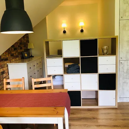 Studio 公寓 波兰尼卡-兹德鲁伊