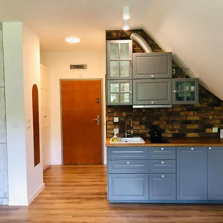 Studio * 波兰尼卡-兹德鲁伊