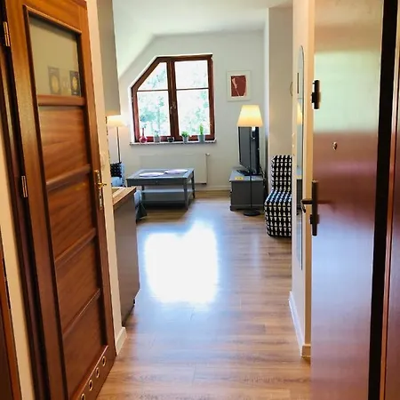 Апартаменты Studio