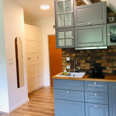 Studio 波兰尼卡-兹德鲁伊